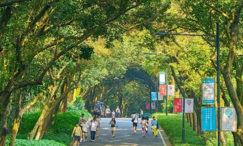 Baiyun Mountain-Guangzhou